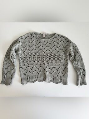 Sincerely Jules Light Green/Gray Crochet Crewneck Sweater